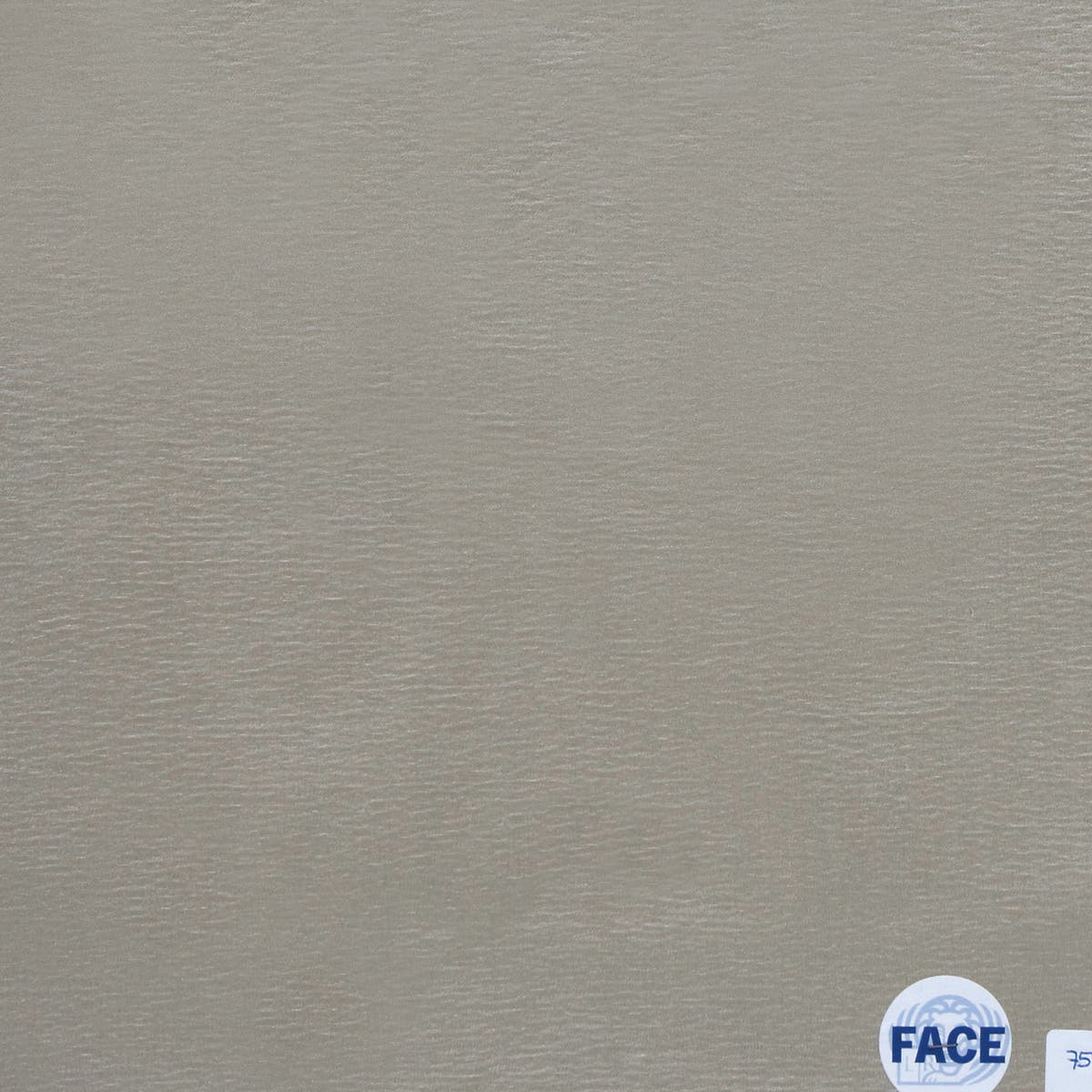 Rubelli Wong fabric - Argento