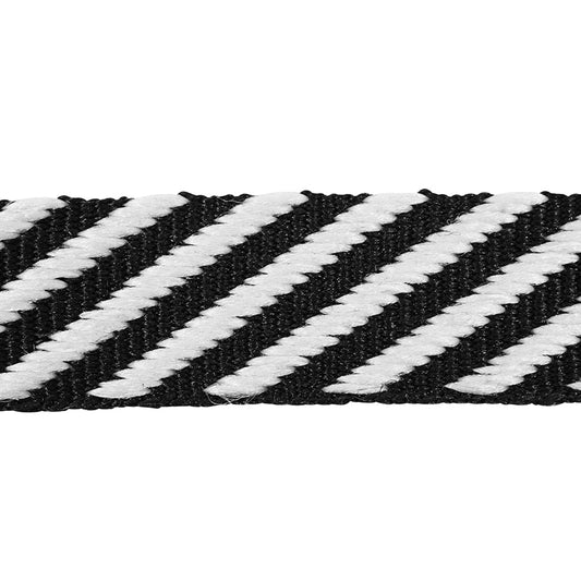 Schumacher | Twill Tape fabric - 76100