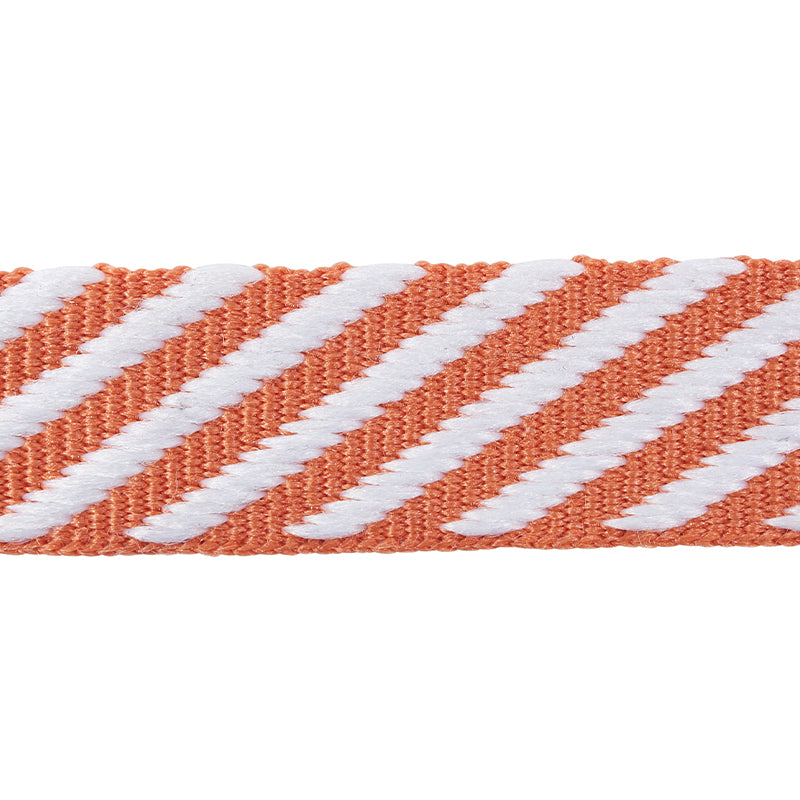 Schumacher | Twill Tape fabric - 76103
