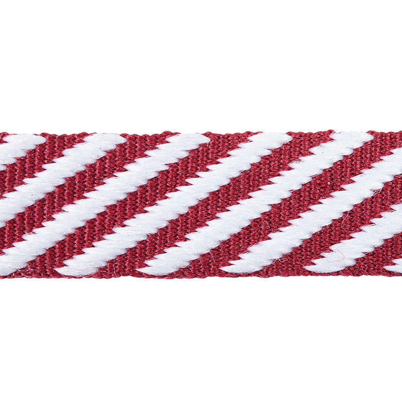 Schumacher | Twill Tape fabric - 76104