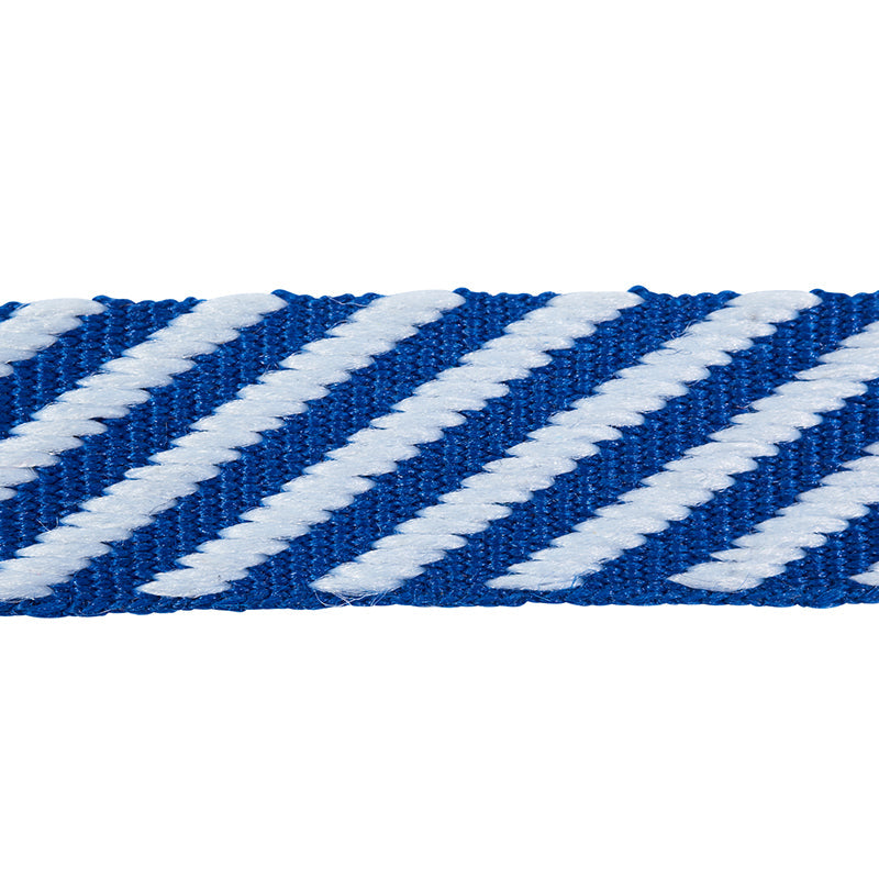 Schumacher | Twill Tape fabric - 76105