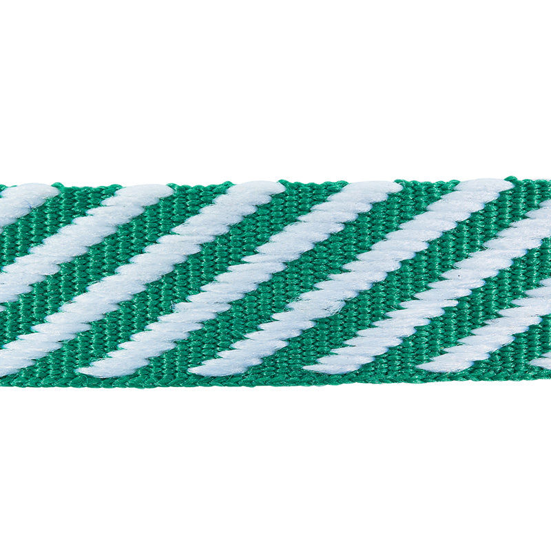 Schumacher | Twill Tape fabric - 76106