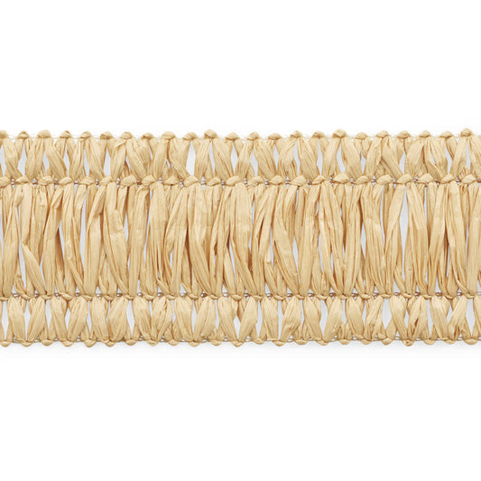 Schumacher | Effie Tape fabric - 76480
