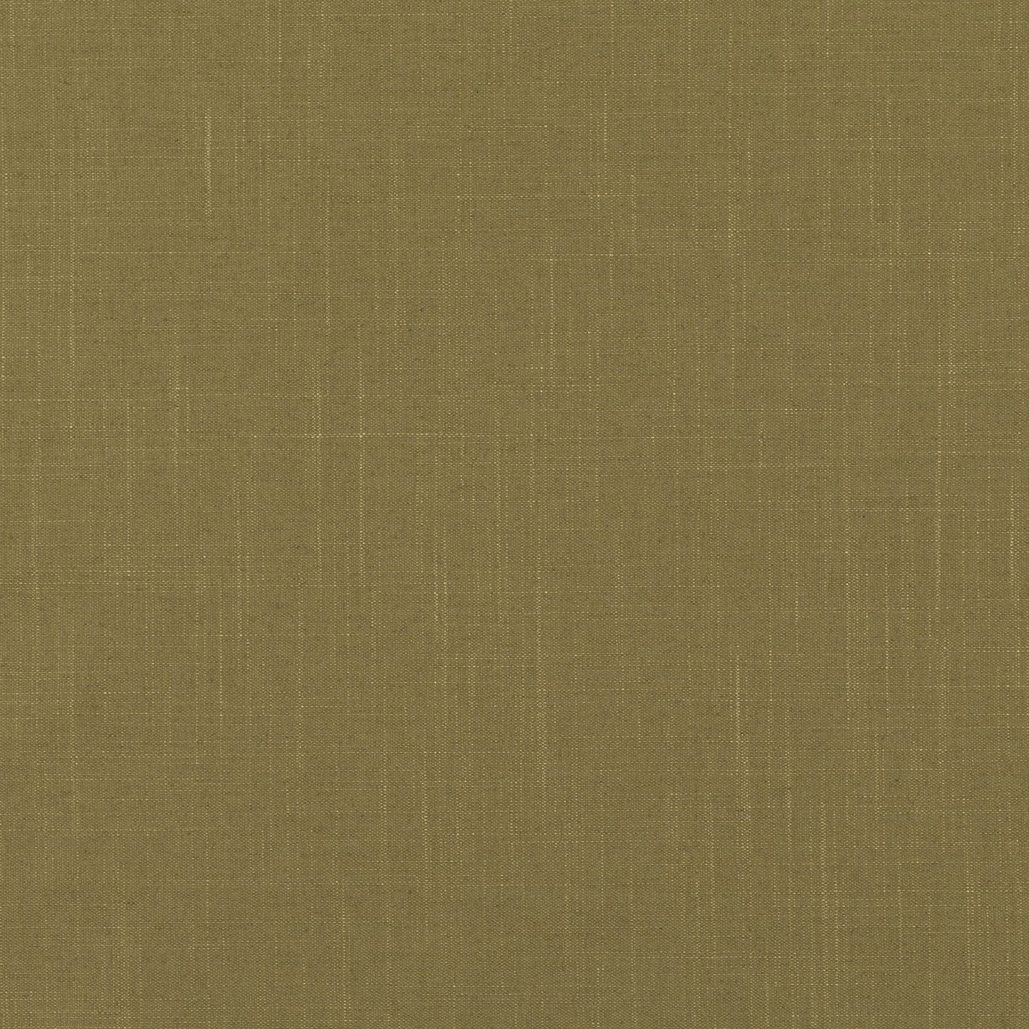 Romo | Asuri – Endive