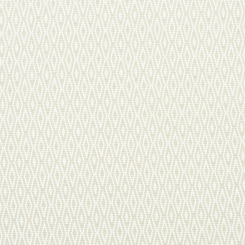 Schumacher | Derby Diamond Performance fabric - 77520