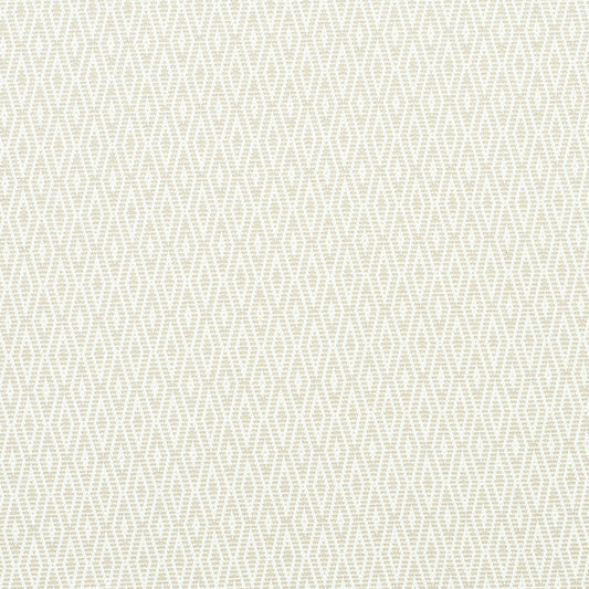 Schumacher | Derby Diamond Performance fabric - 77520
