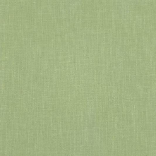 Romo | Emin – Kiwi