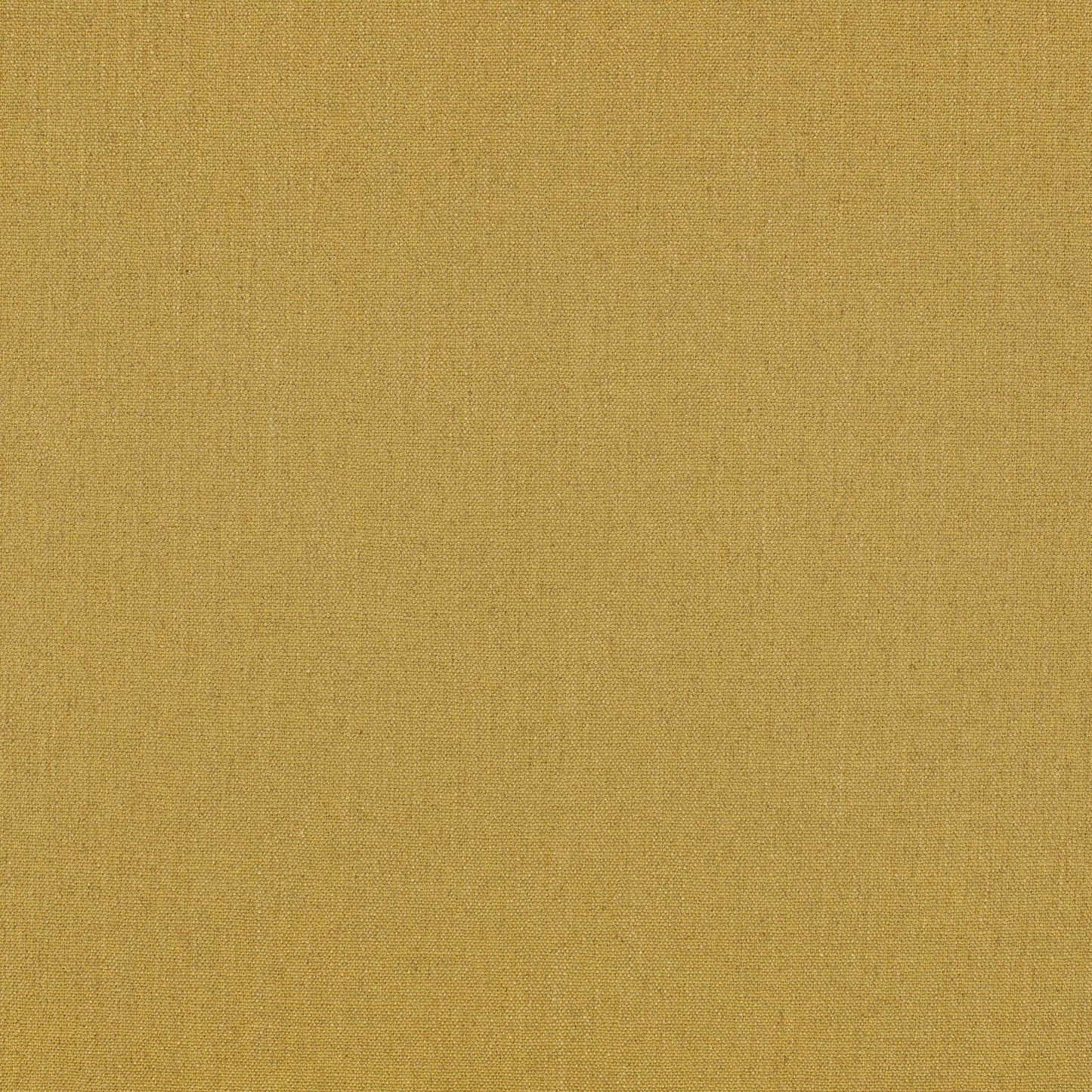 Romo | Ruskin – Goldcrest