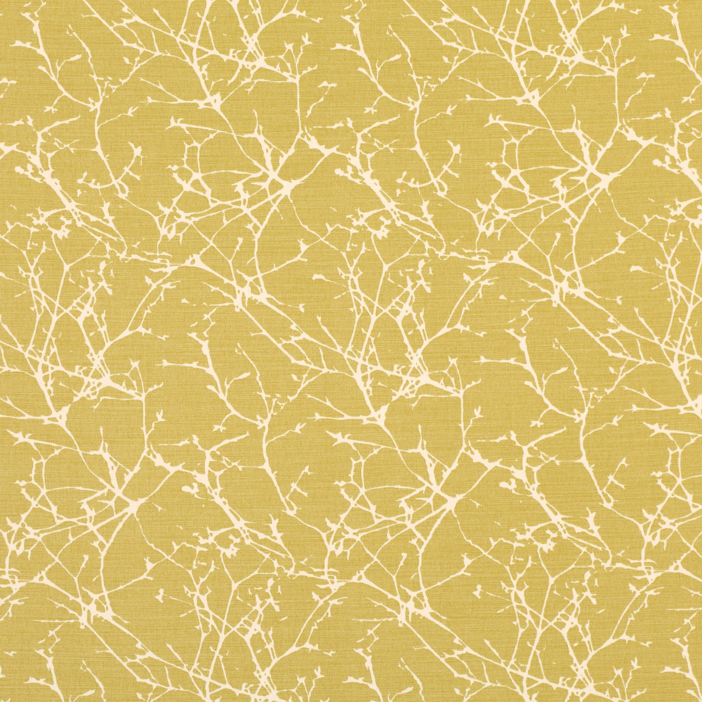 Pierre Frey Romo | Acacia – Quince — scenography