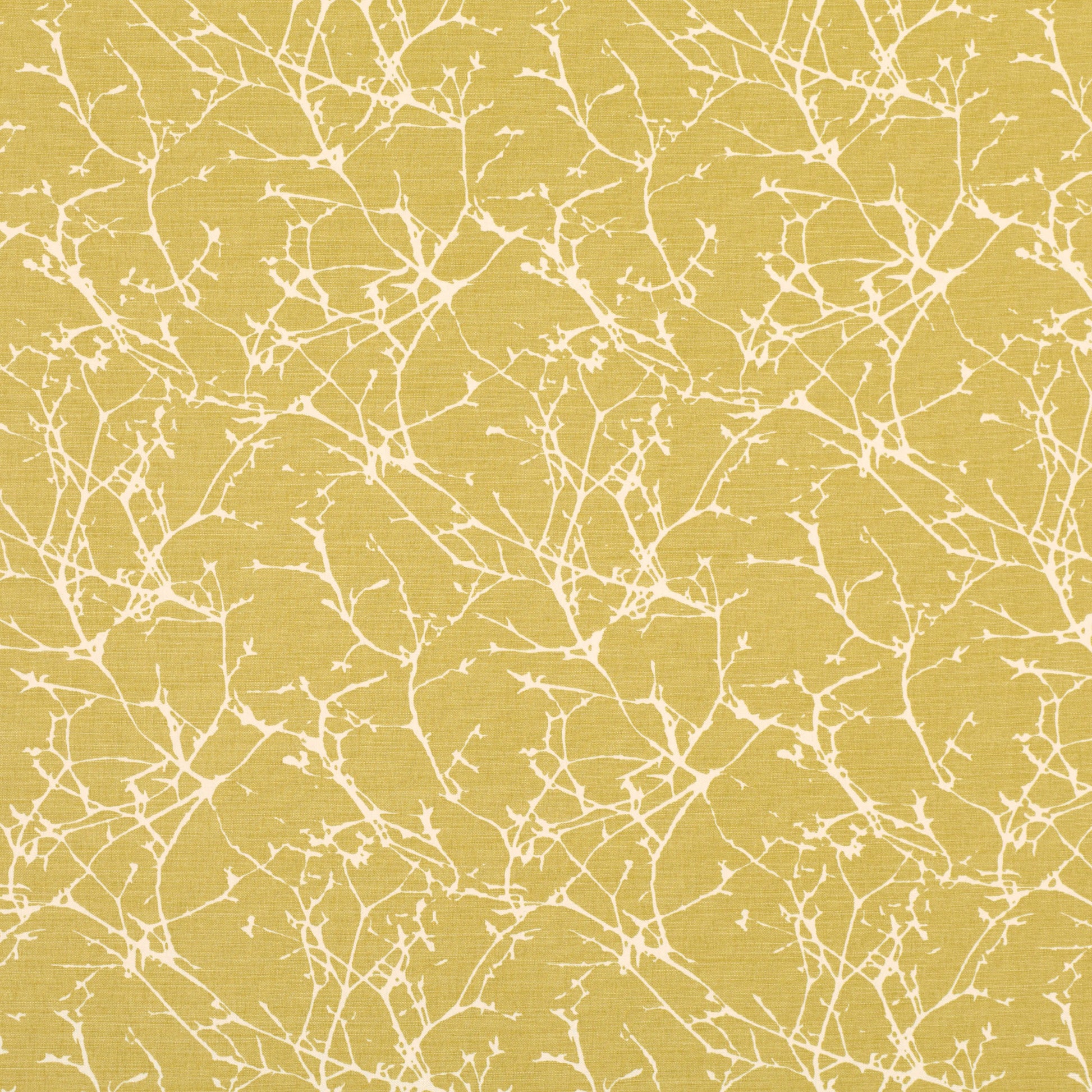 Pierre Frey Romo | Acacia – Quince — scenography