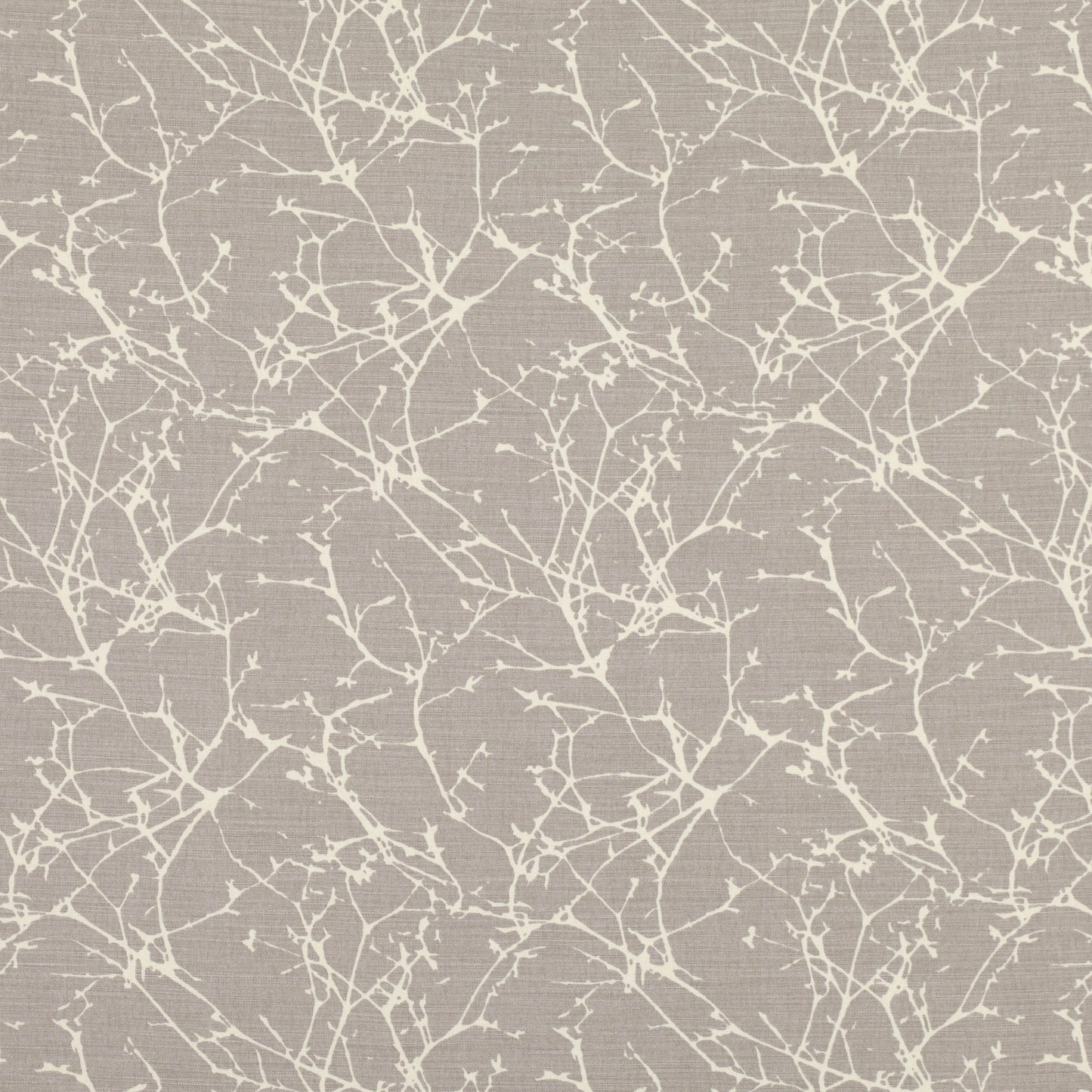Romo | Acacia – Chamois