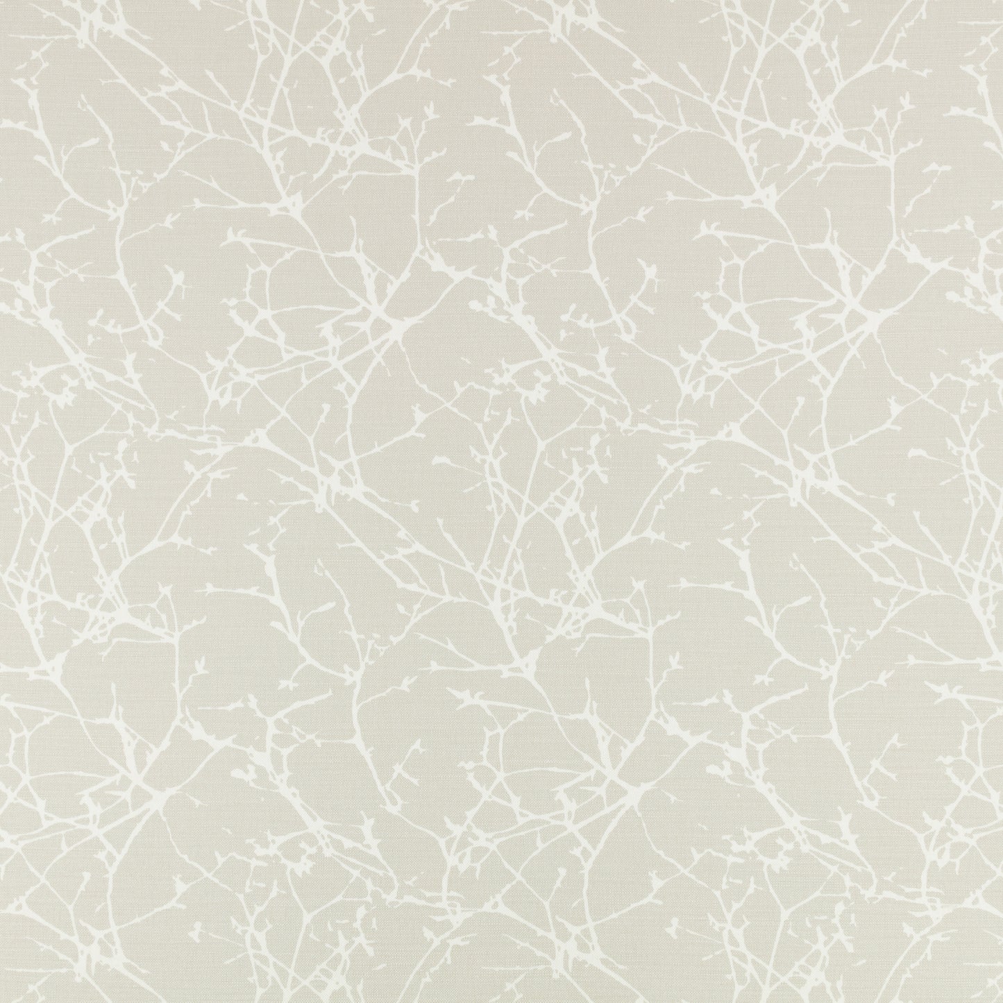 Romo | Acacia – Shell