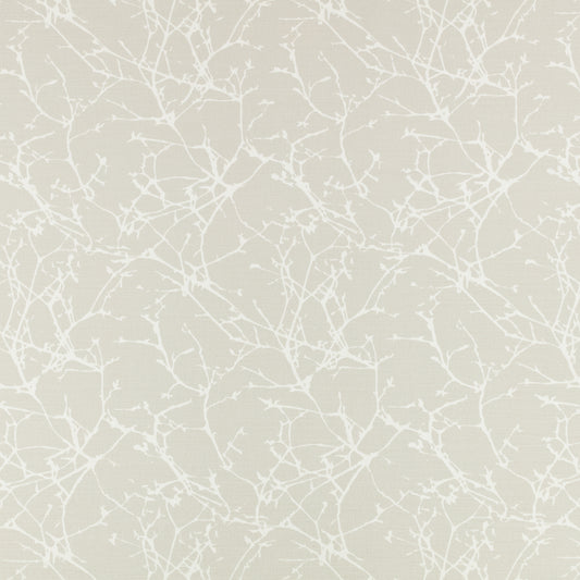 Romo | Acacia – Shell