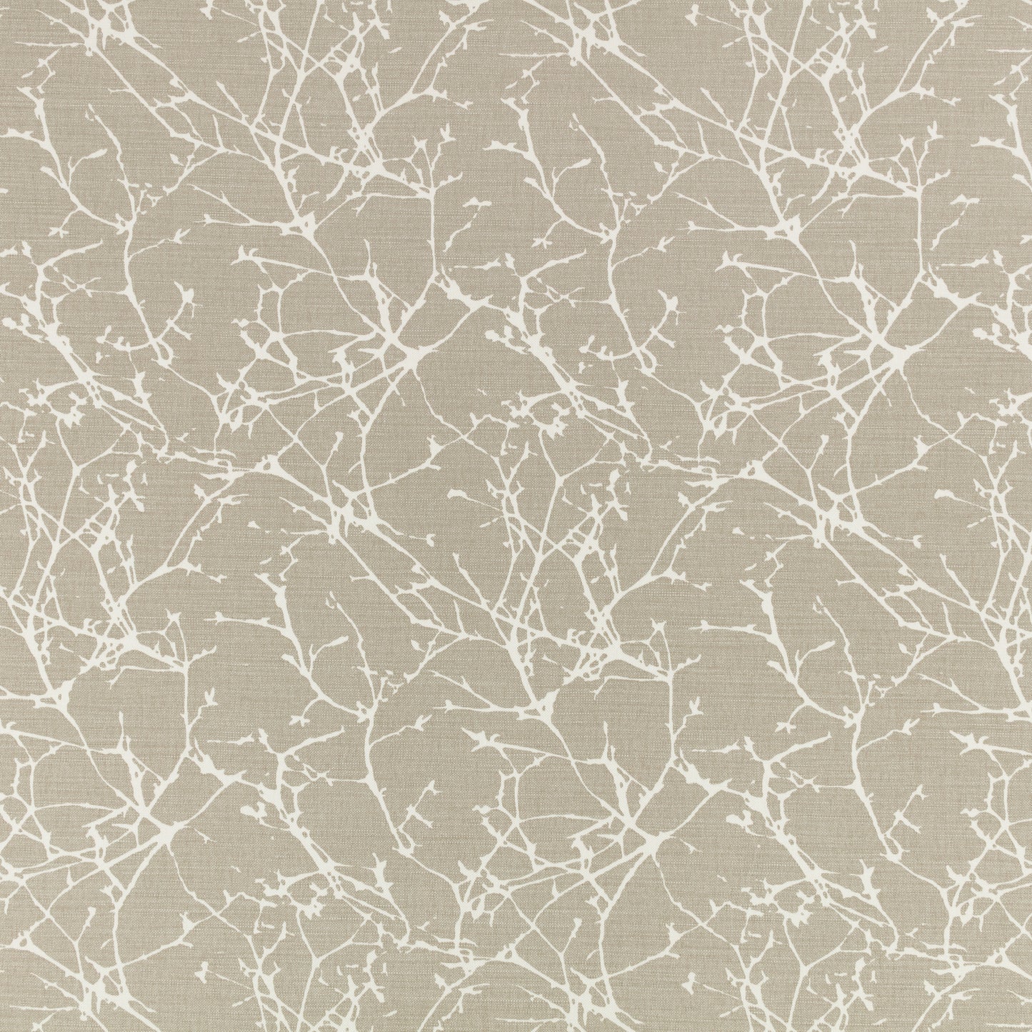 Romo | Acacia – String