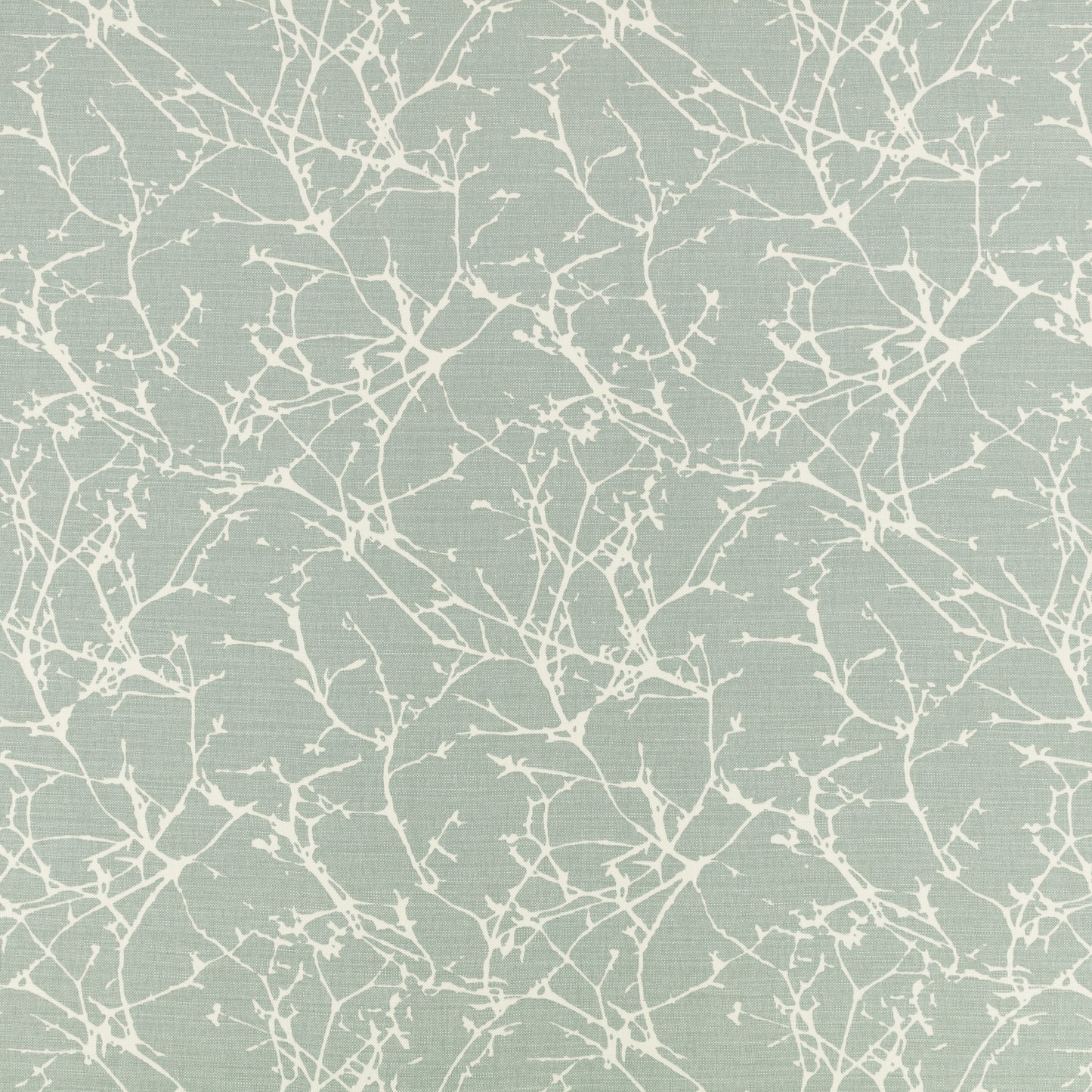 Romo | Acacia – Celadon