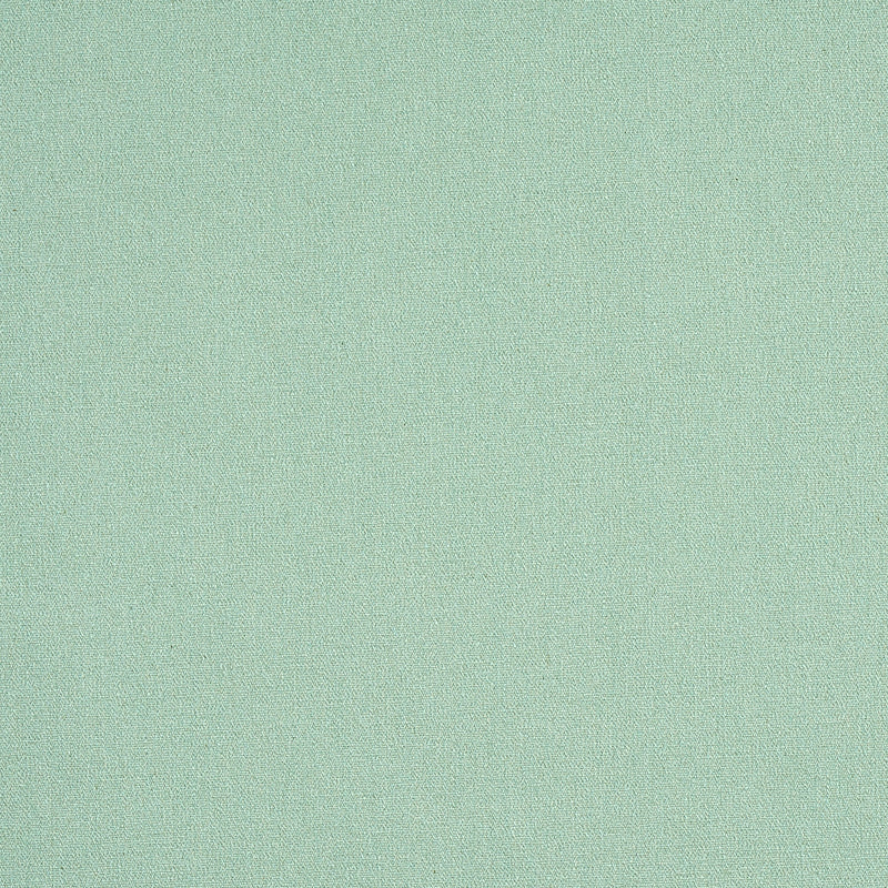 Schumacher | Albert Performance Cotton fabric - 77809