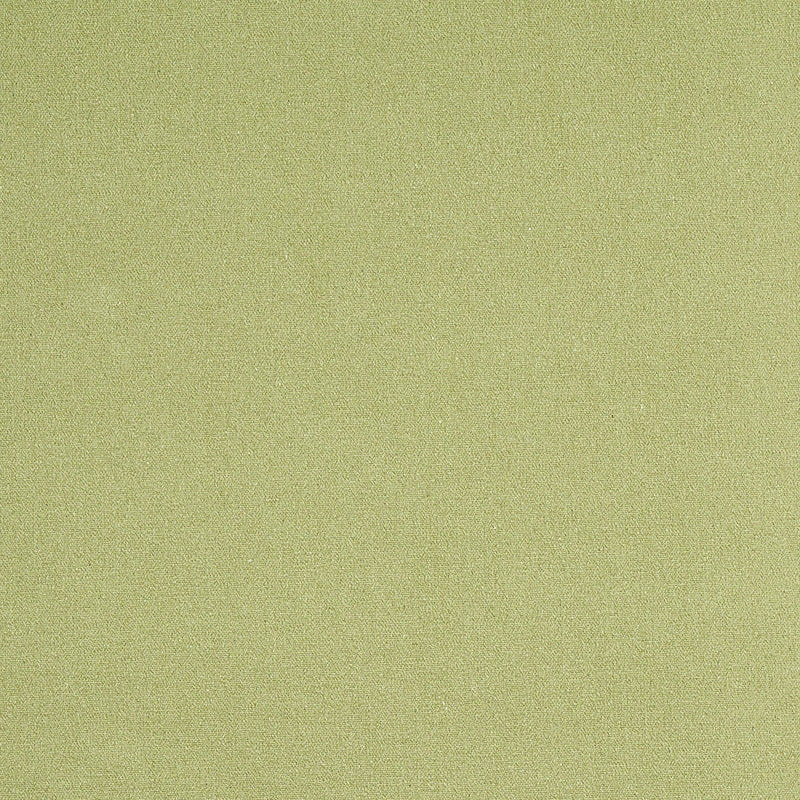 Schumacher | Albert Performance Cotton fabric - 77810