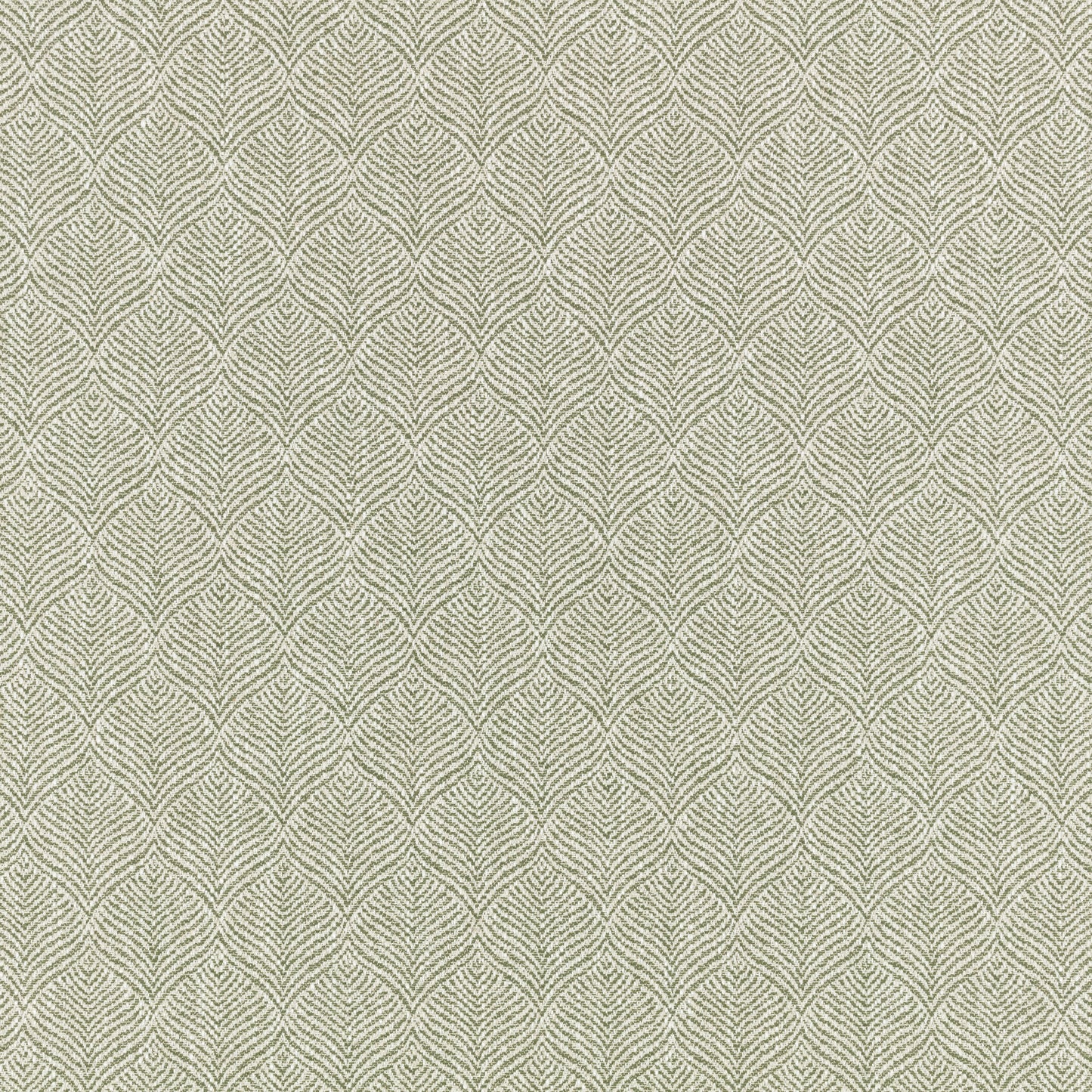 Romo | Odin – Fern
