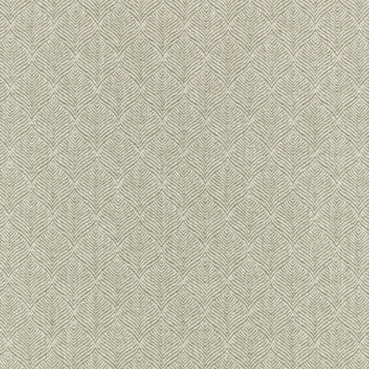 Romo | Odin – Fern
