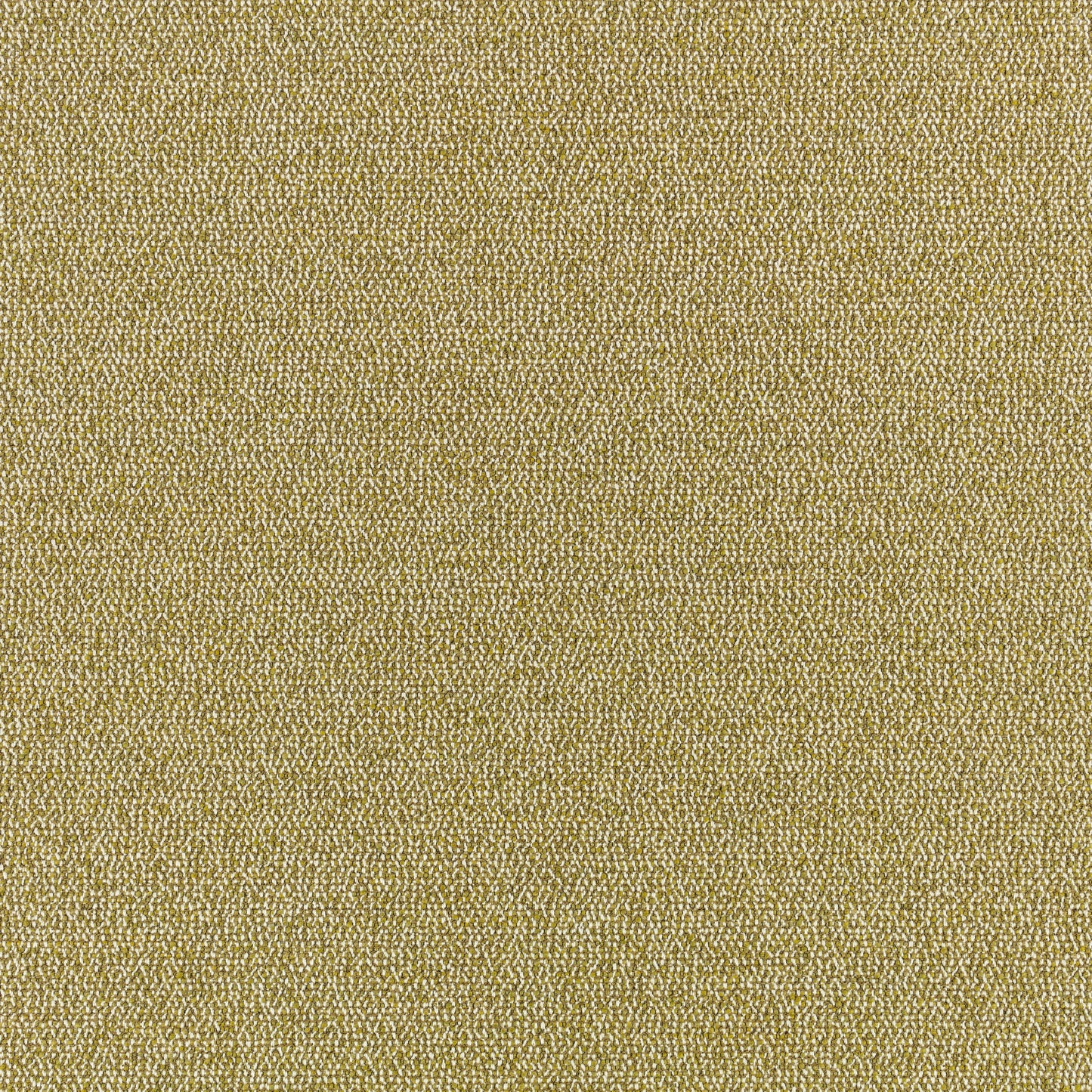Romo | Olavi – Fennel