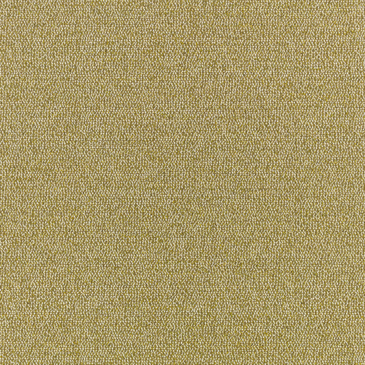 Romo | Olavi – Fennel