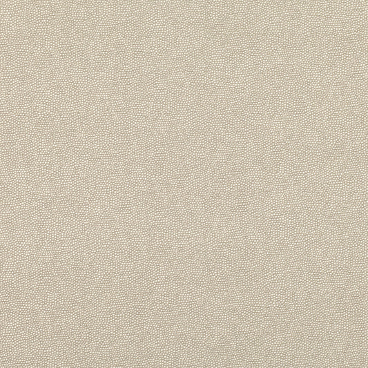 Romo | Clio – Stone