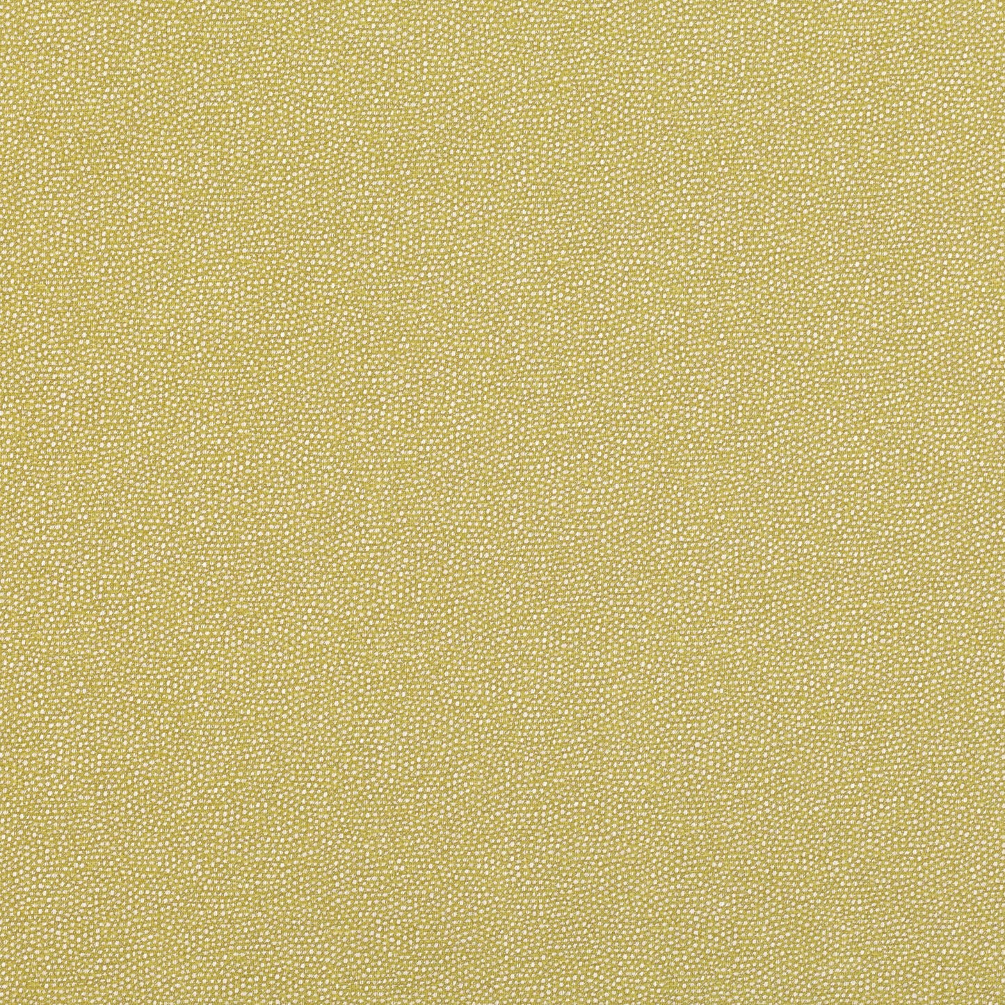Romo | Clio – Fenugreek