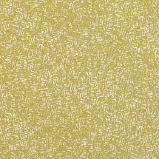 Romo | Clio – Fenugreek