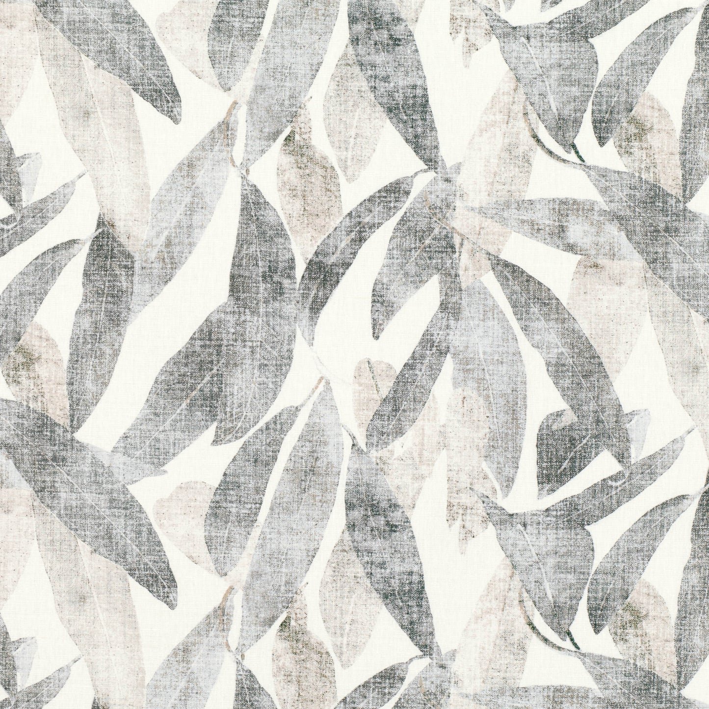 Romo | Arboretum – Eucalyptus