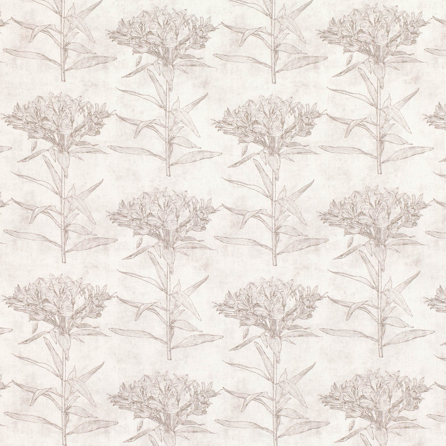 Romo | Oriana – Chamois