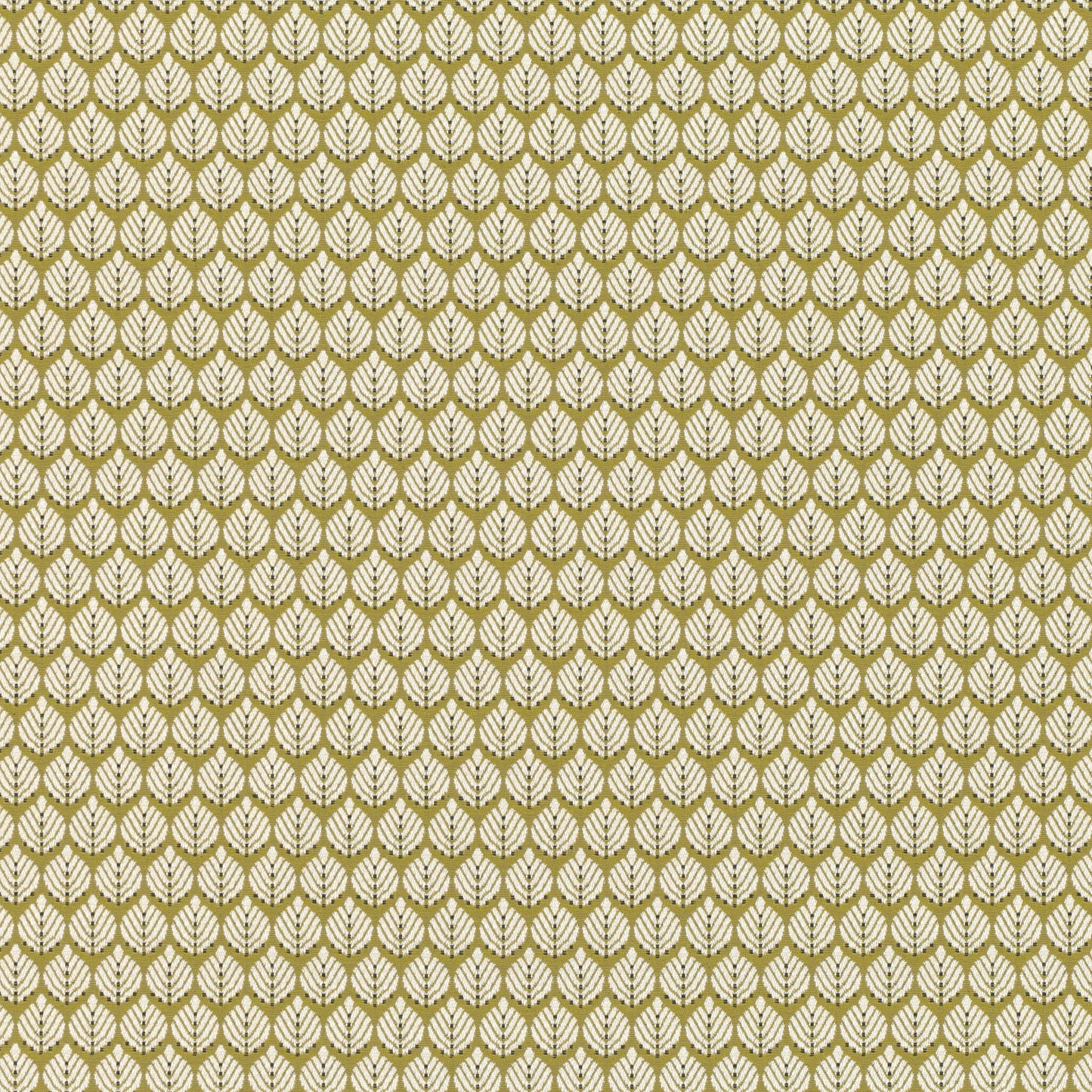 Romo | Hennell – Fenugreek
