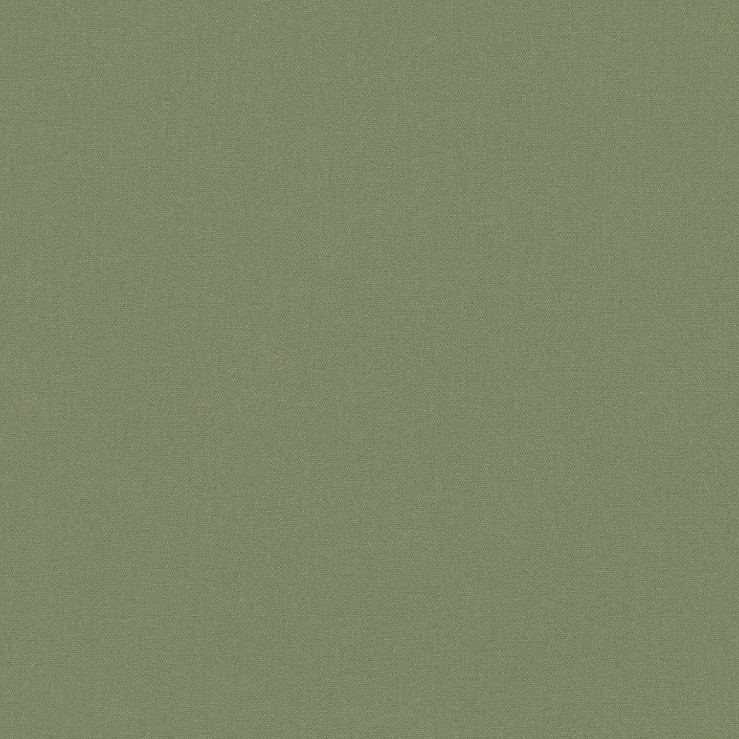 Romo | Osumi – Fern