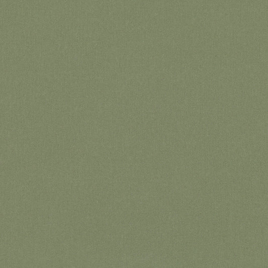 Romo | Osumi – Fern