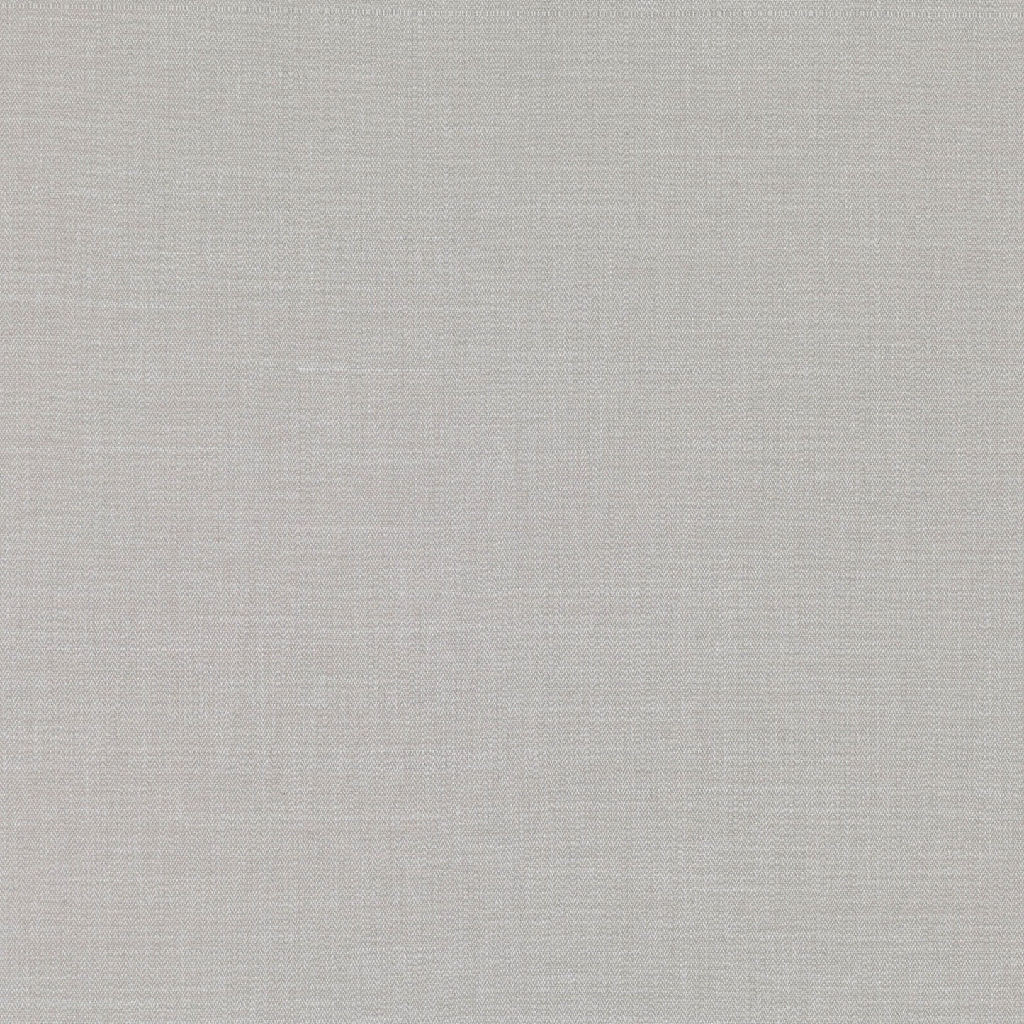 Romo | Miro – Turtle Dove