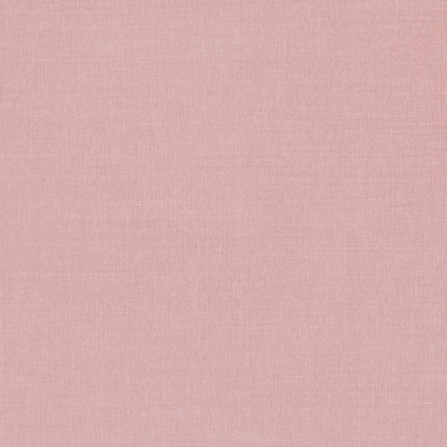Romo | Miro – Freesia