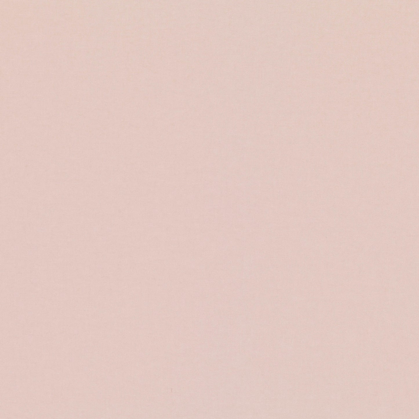 Romo | Celino – Plaster