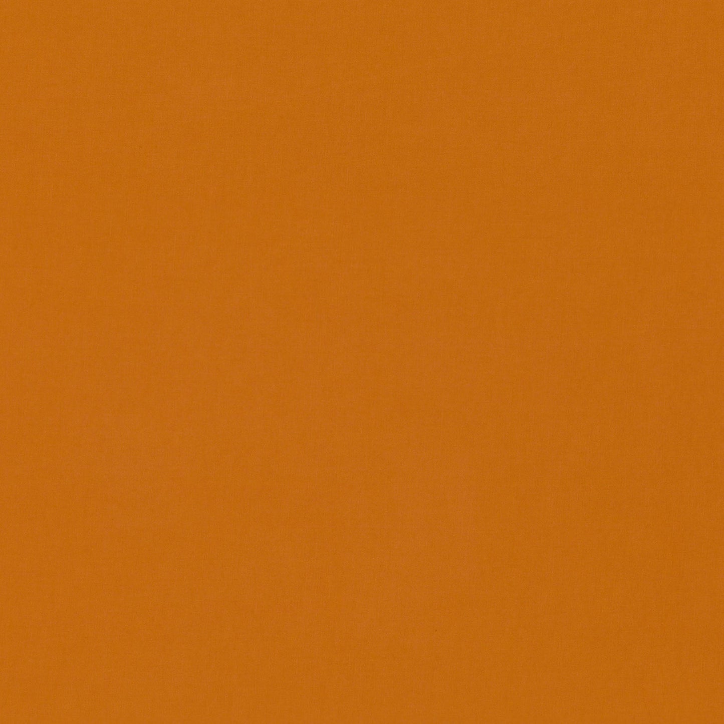 Romo | Celino – Pumpkin