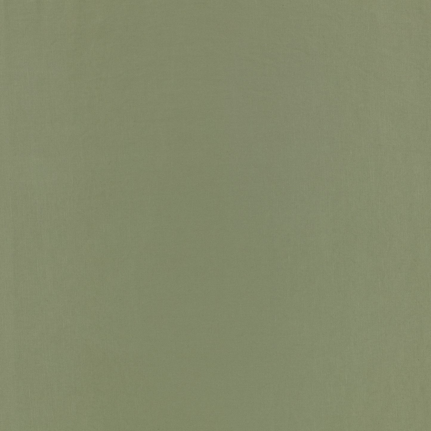 Romo | Celino – Fern