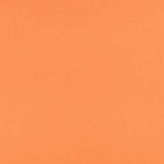 Romo | Celino – Koi