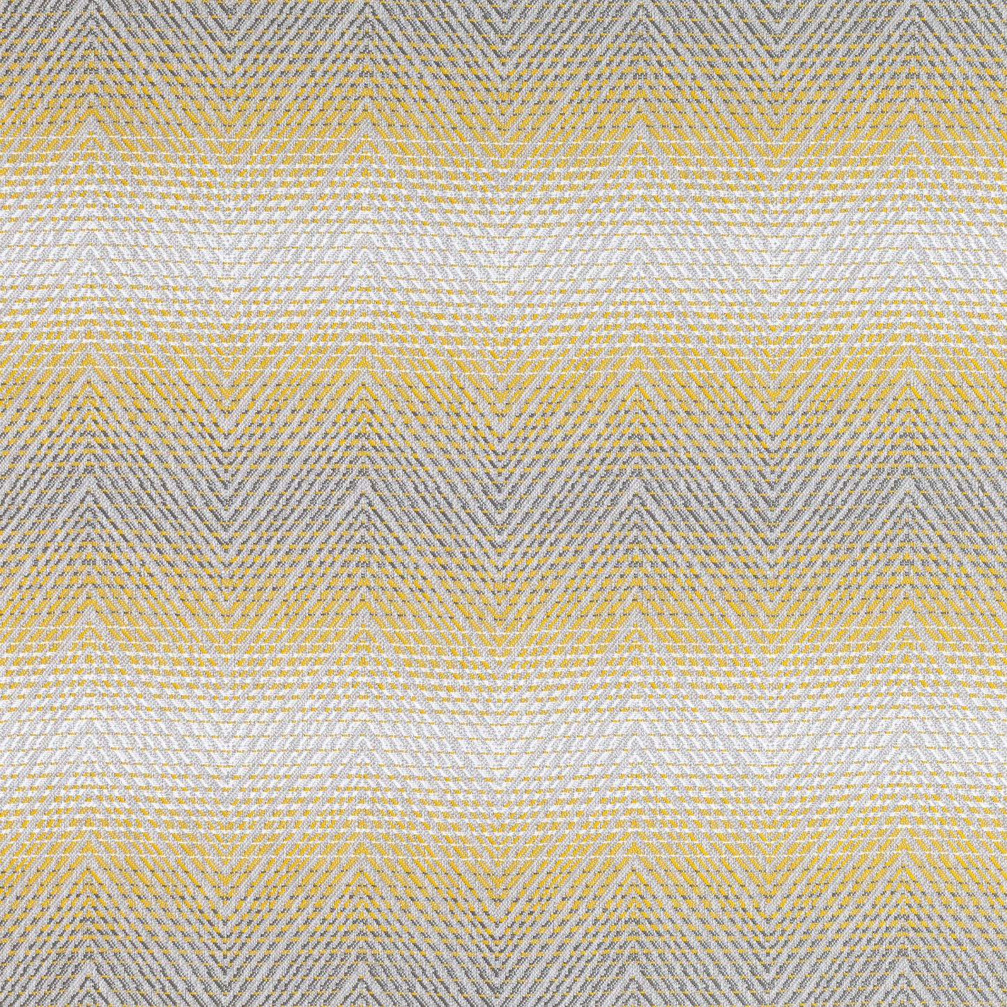 Romo | Patuca – Maize