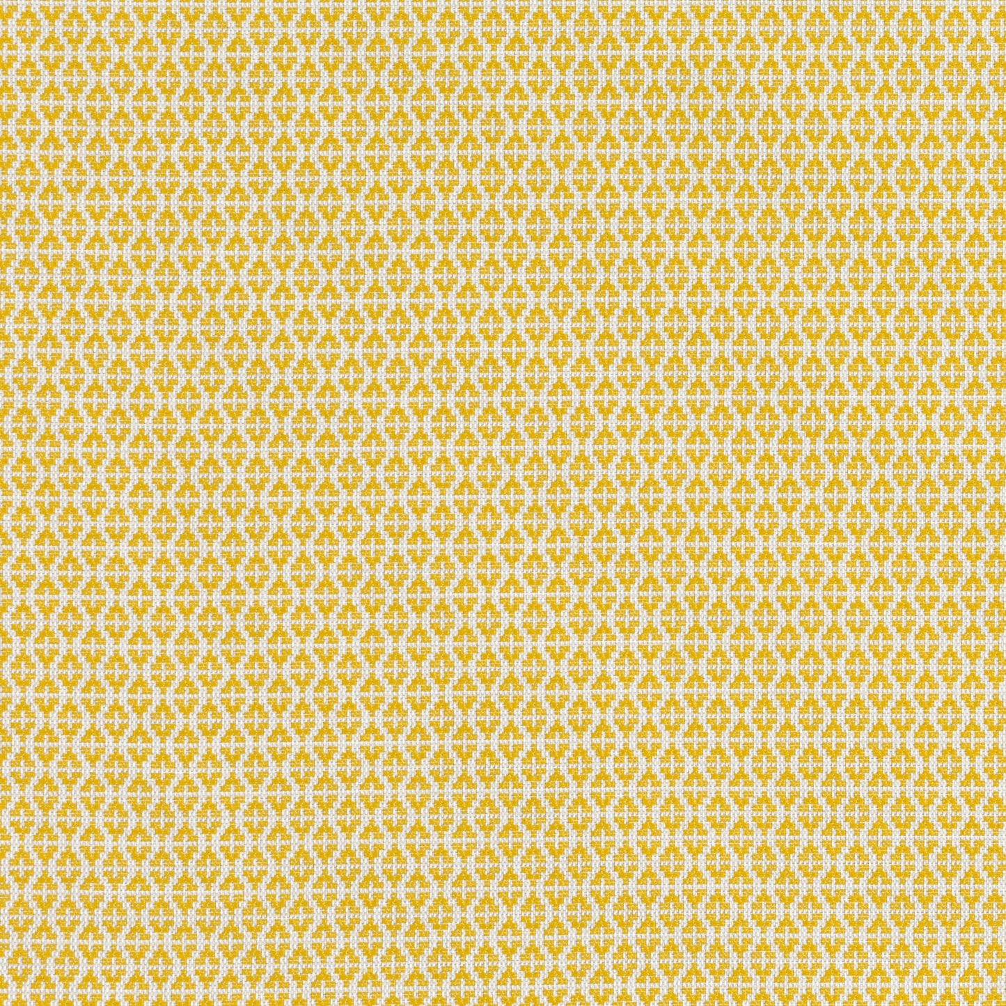 Romo | Ituri – Maize