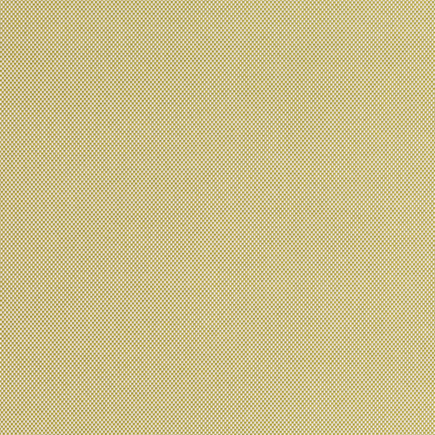 Romo | Nadi – Wasabi