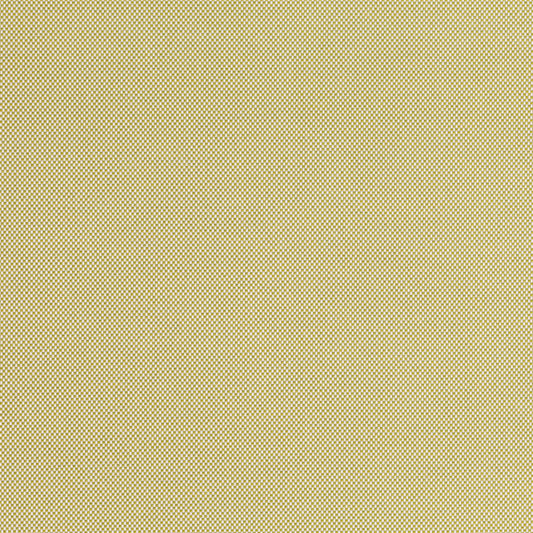 Romo | Nadi – Wasabi