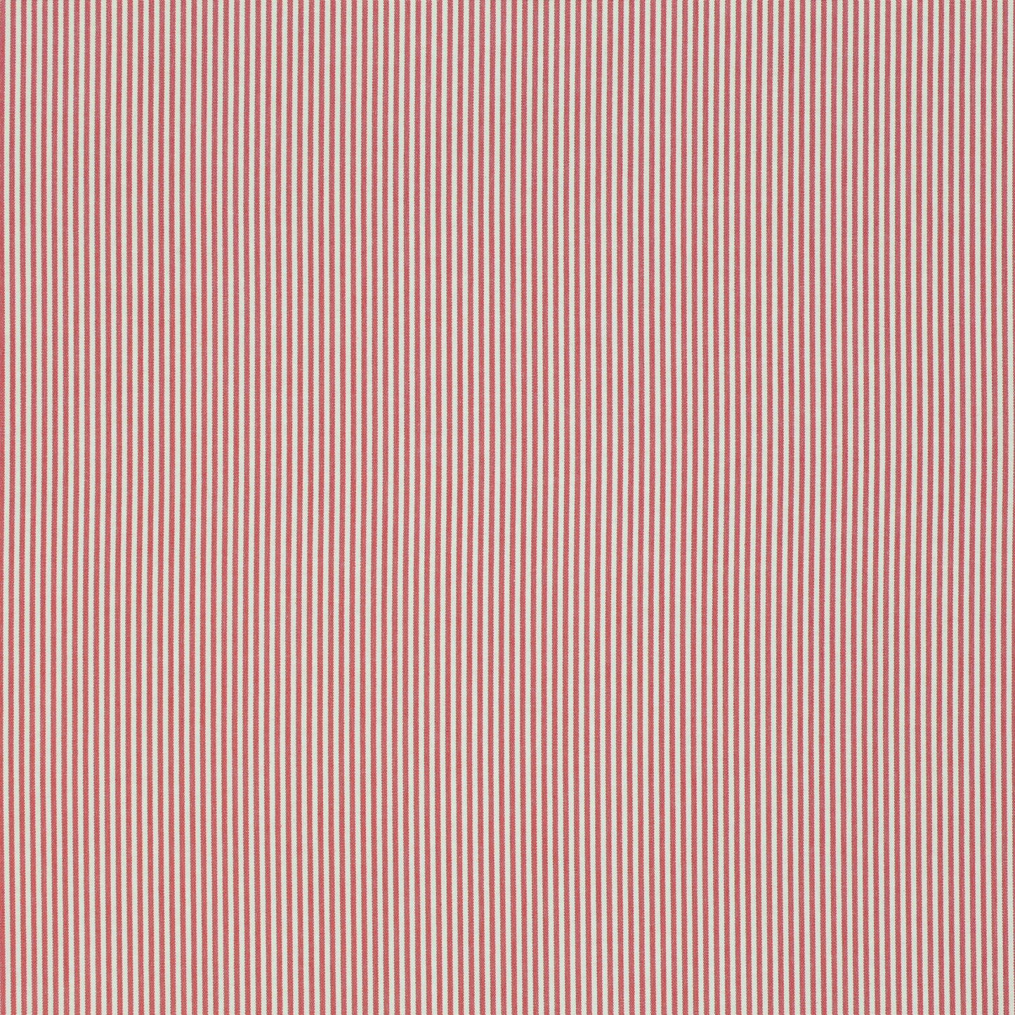 Romo | Oswin – Red Tulip
