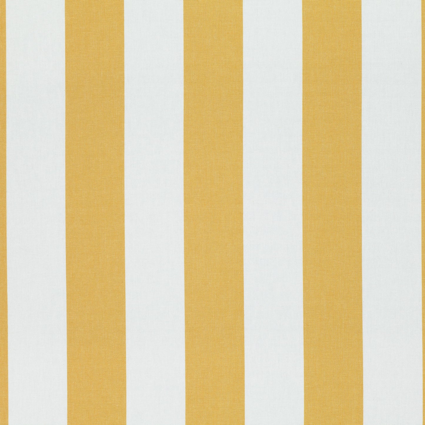 Romo | Eston – Sunflower