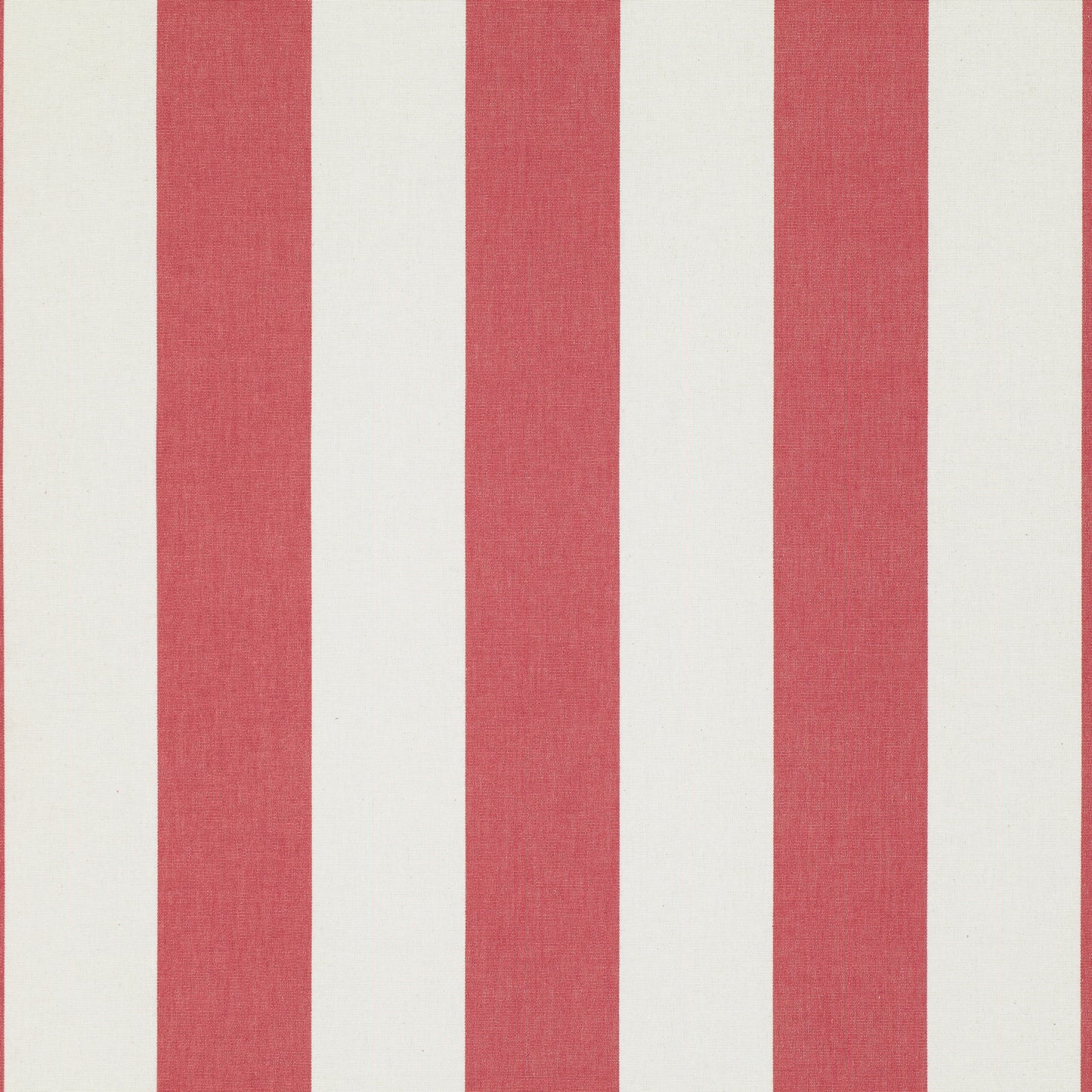 Romo | Eston – Red Tulip