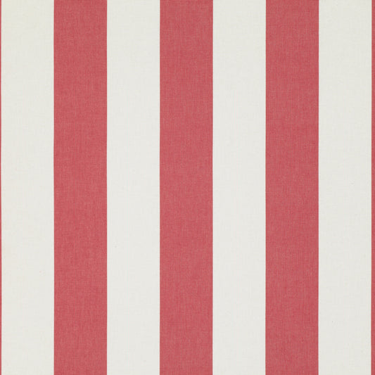Romo | Eston – Red Tulip