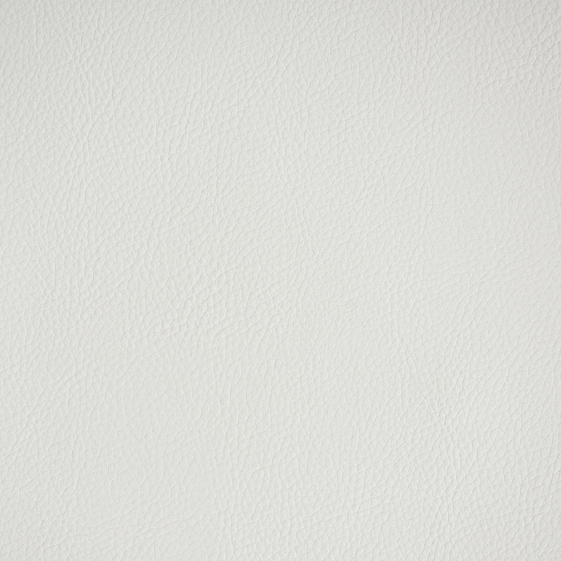 Schumacher | Vegan Leather Indoor/Outdoor fabric - 79551