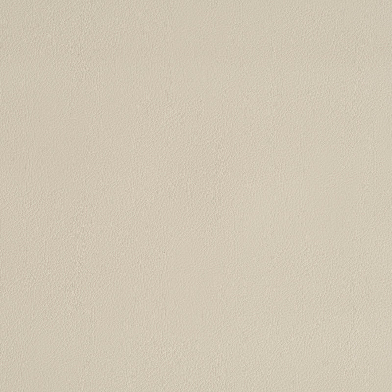 Schumacher | Vegan Leather Indoor/Outdoor fabric - 79552