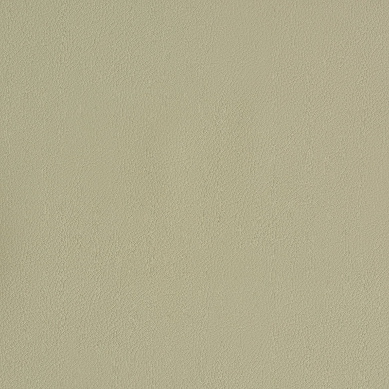 Schumacher | Vegan Leather Indoor/Outdoor fabric - 79553